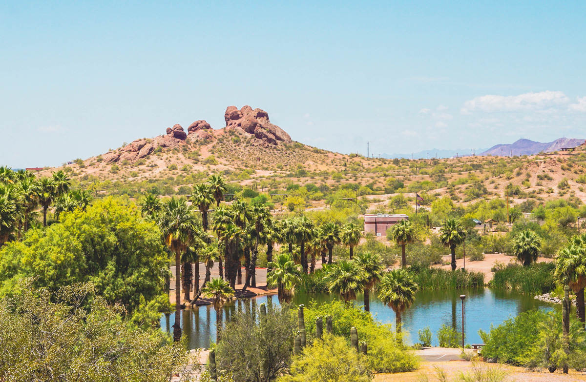 desert oasis phoenix