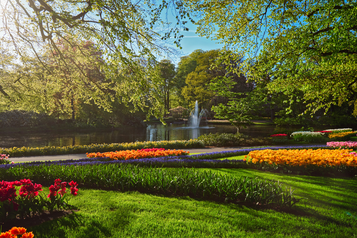 jardín de flores en greensboro nc