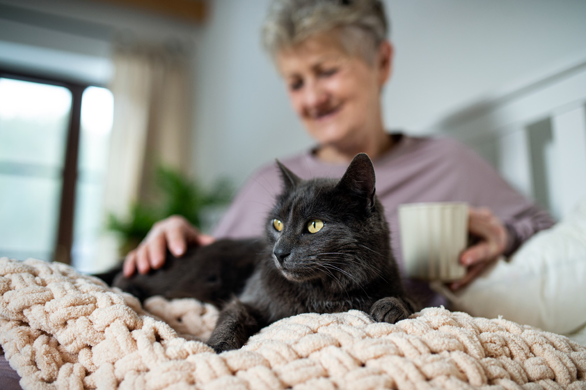 猫と幸せな年配の女性