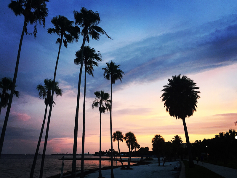 puesta de sol a lo largo del parque vinoy en san petersburgo fl